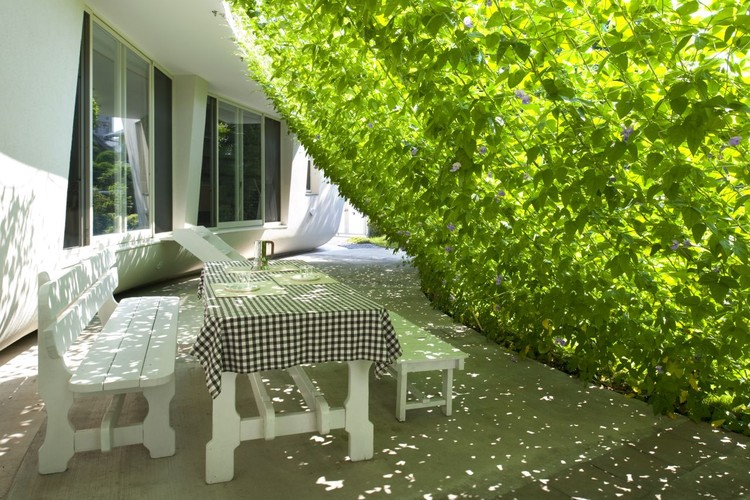 canicule-rafraichir-naturellement-sa-maison2