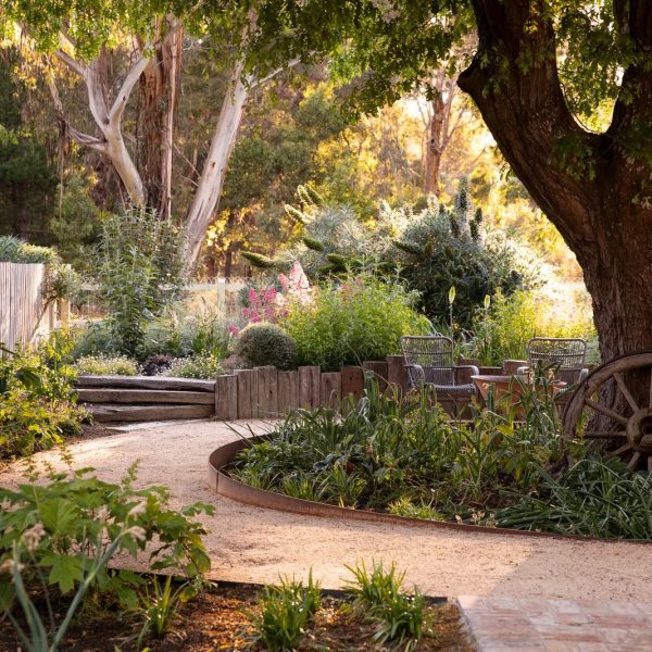 des-arbres-fleuris-pour-sublimer-un-jardin